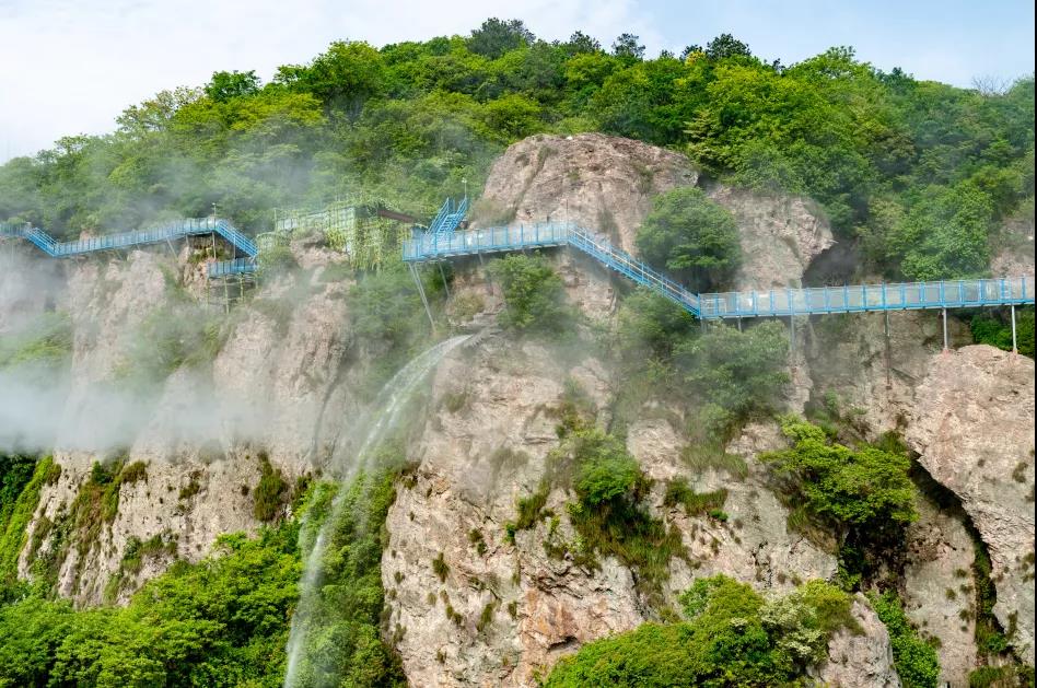 蕪湖人都在搶票，端午去森林體驗(yàn)王國(guó)森呼吸！
