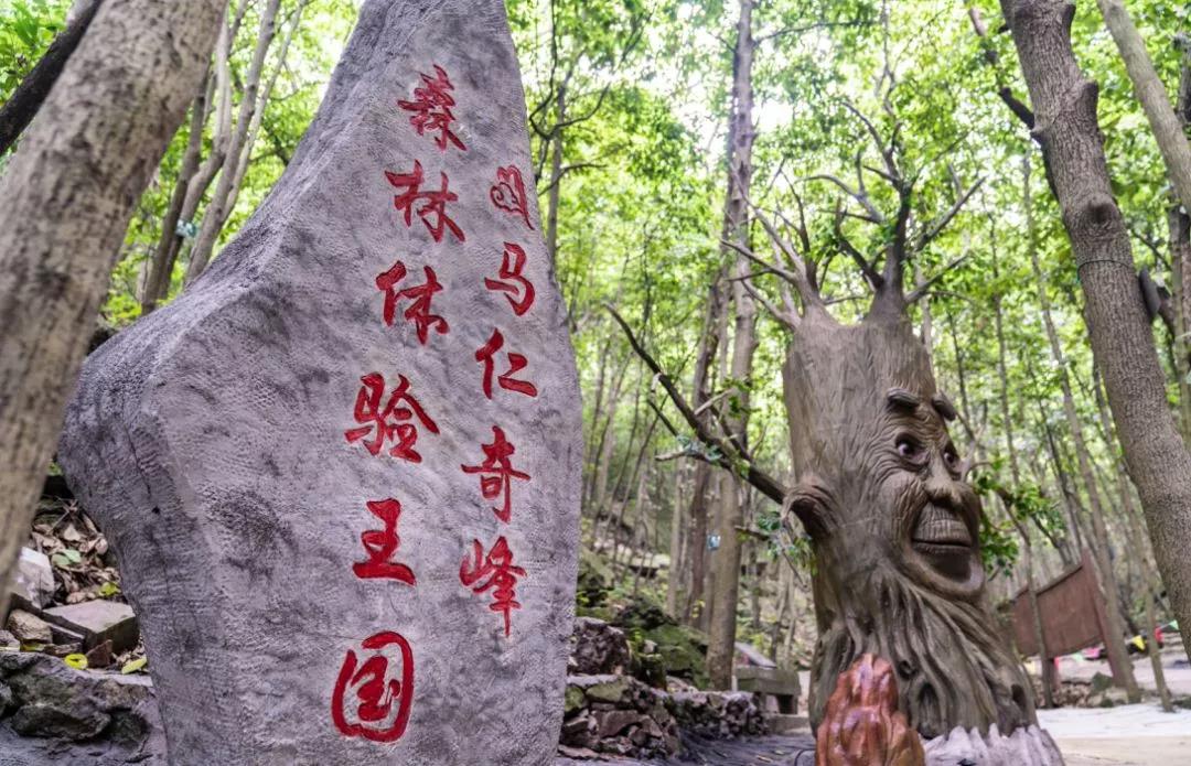 馬仁奇峰、大浦雙雙入選首批“安徽省職工療休養(yǎng)基地”！