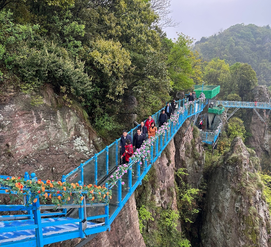 中國旅游研究院院長戴斌一行調(diào)研馬仁奇峰景區(qū)